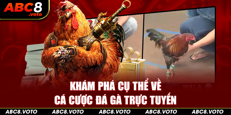 Khám phá cụ thể về cá cược đá gà trực tuyến