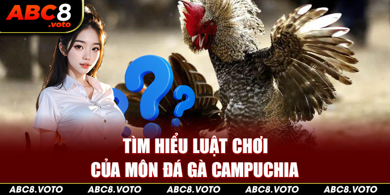 Tìm hiểu luật chơi của môn đá gà Campuchia