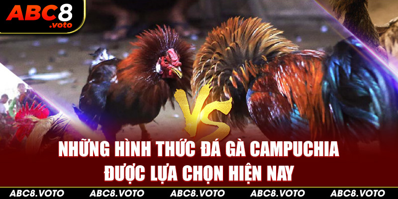 Những hình thức đá gà Campuchia được được lựa chọn hiện nay